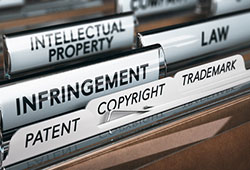 Trademark Infringement Litigation